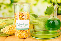 Steeple Gidding biofuel availability